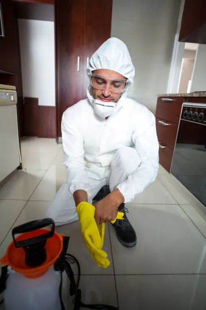 Controle de roedores em áreas urbanas