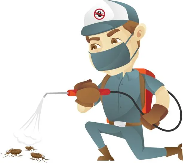 Imagem ilustrativa de Desinsetização