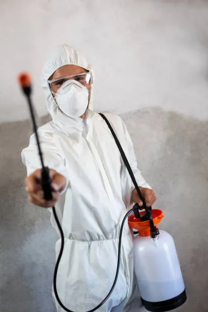Fumacê para mosquito